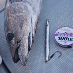 渡船屋たにぐち 釣果
