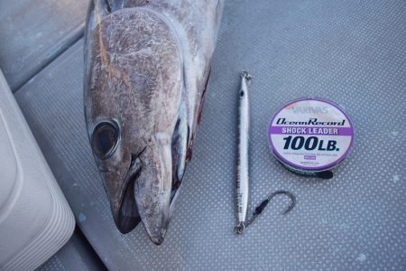 渡船屋たにぐち 釣果