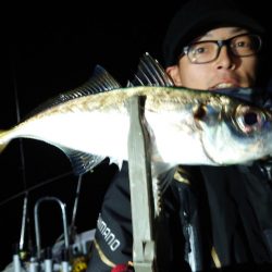 シースナイパー海龍 釣果