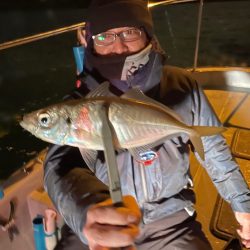 Chase（チェイス） 釣果