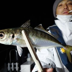 シースナイパー海龍 釣果