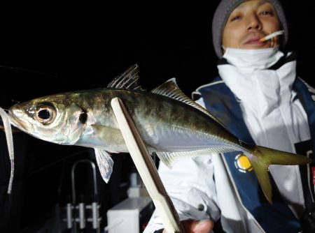 シースナイパー海龍 釣果