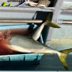 第二八坂丸 釣果