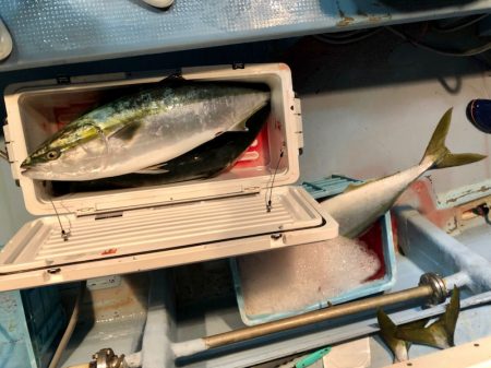 第二八坂丸 釣果