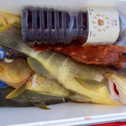 第二龍勢丸 釣果