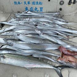 末広丸(熊本) 釣果
