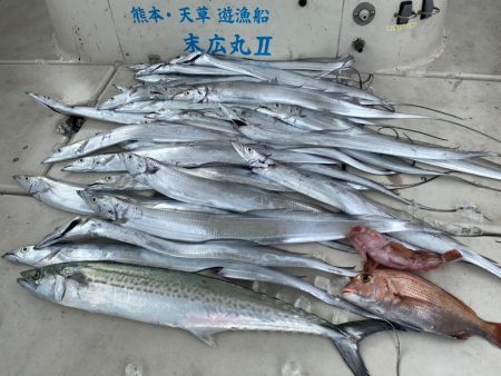 末広丸(熊本) 釣果