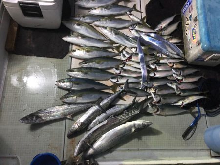 エムズジャーク(M’s JERK) 釣果