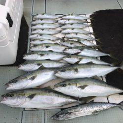 エムズジャーク(M’s JERK) 釣果