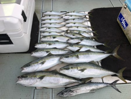 エムズジャーク(M’s JERK) 釣果