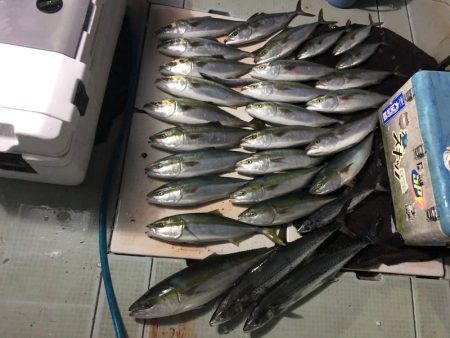 エムズジャーク(M’s JERK) 釣果