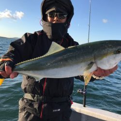 ランスルー 釣果