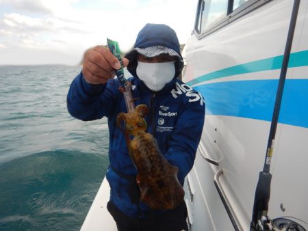 きずなまりん 釣果