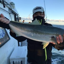 ランスルー 釣果