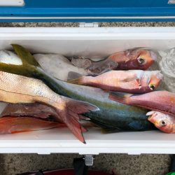 第二八坂丸 釣果