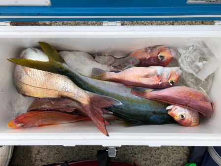 第二八坂丸 釣果