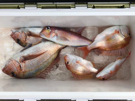 第二八坂丸 釣果