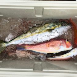 第二八坂丸 釣果