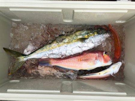 第二八坂丸 釣果