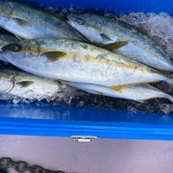 海龍丸(石川) 釣果