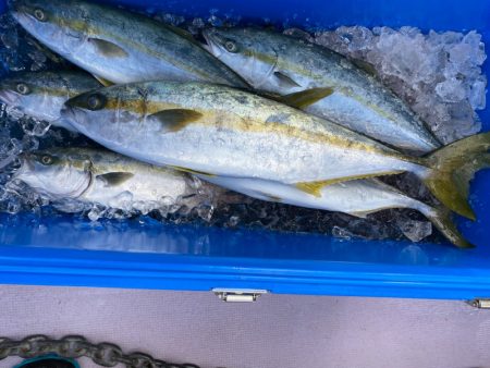 海龍丸(石川) 釣果