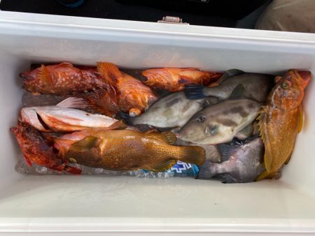 海龍丸(石川) 釣果