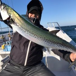 ランスルー 釣果