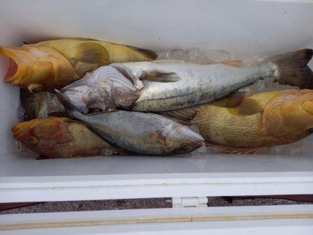 第二龍勢丸 釣果