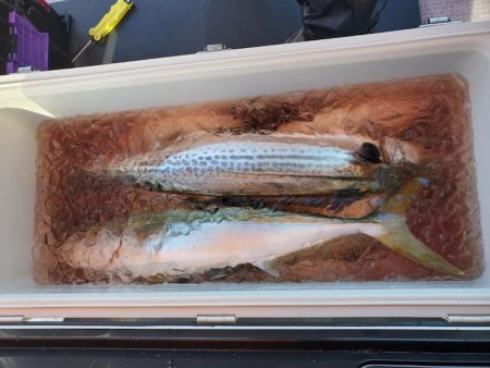 海龍丸(石川) 釣果