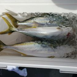 海龍丸(石川) 釣果