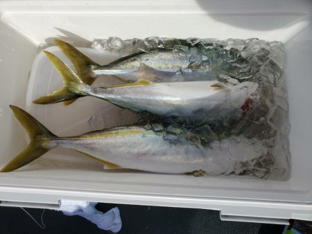 海龍丸(石川) 釣果