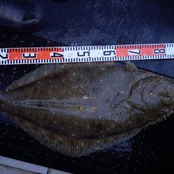 第二龍勢丸 釣果