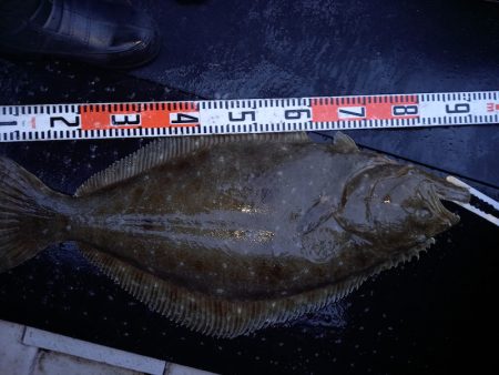 第二龍勢丸 釣果