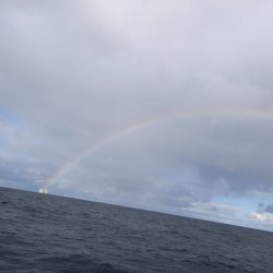 第二龍勢丸 釣果