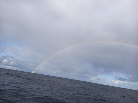 第二龍勢丸 釣果