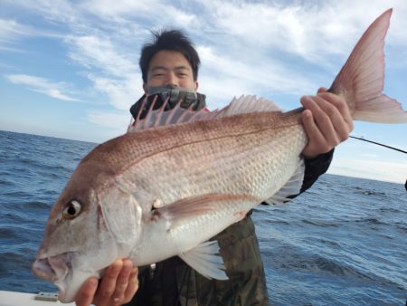 シーライオン 釣果