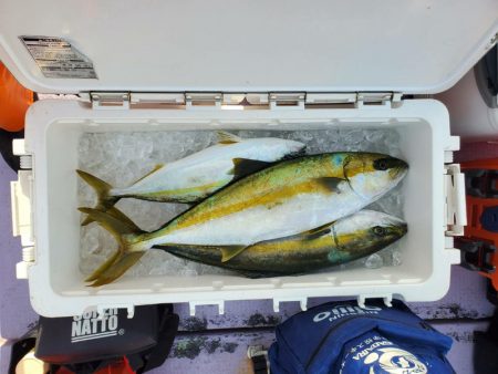 海龍丸（石川） 釣果