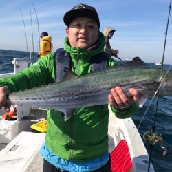 ランスルー 釣果