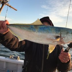 ランスルー 釣果