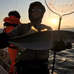 ランスルー 釣果