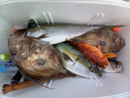 第二龍勢丸 釣果