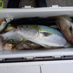 第二龍勢丸 釣果