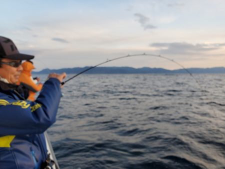 シーライオン 釣果