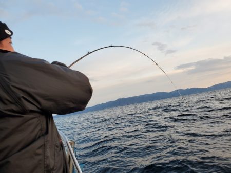 シーライオン 釣果