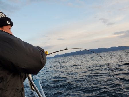 シーライオン 釣果