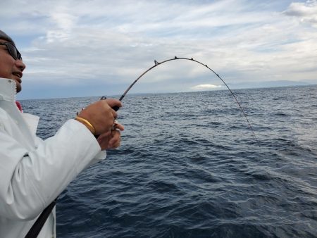 シーライオン 釣果