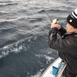 シーライオン 釣果