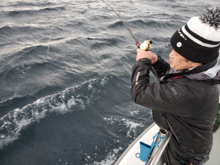 シーライオン 釣果