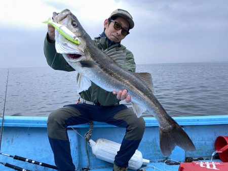 アマテラス 釣果