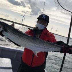 ランスルー 釣果